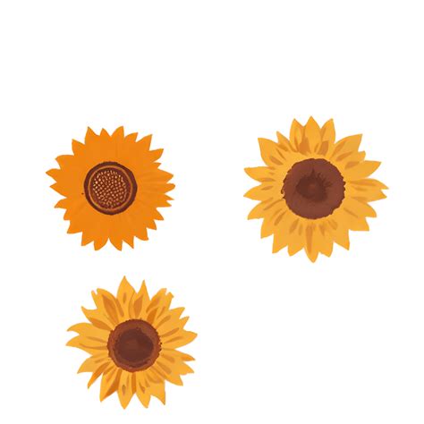 Gráfico Digital De Girasoles Antiguos · Creative Fabrica