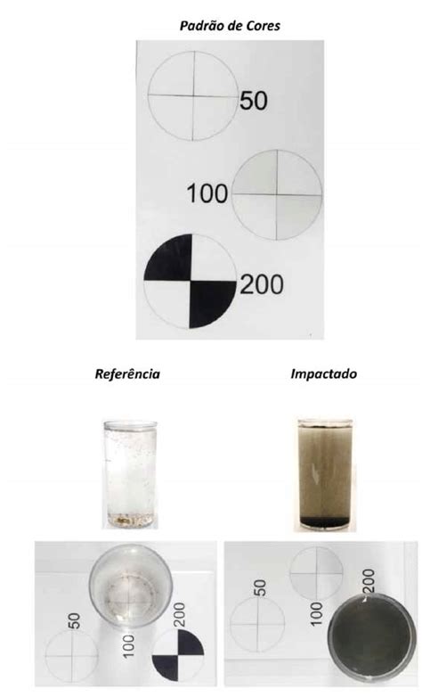 Determina O De Turbidez De Amostras De Gua De Um Ecossistema