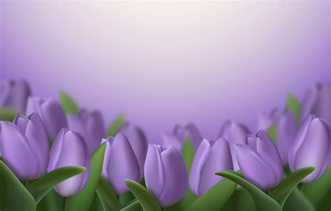 Realistic 3d tulip flowers on purple background. Vector illustration ...