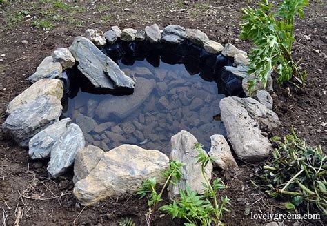 Building A Wildlife Pond In The Vegetable Garden Garden Living And