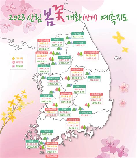 2024년 벚꽃 개화시기 및 만개시기올해 전국 벚꽃 축제 일정 잡동사니