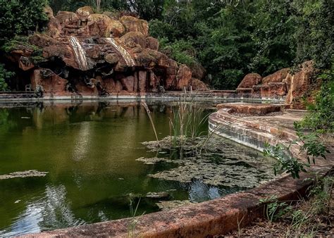 A Look at Disney's Abandoned Water Park