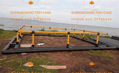 HDPE Freshwater Lake Square Floating Tilapia Farming Fish Cage