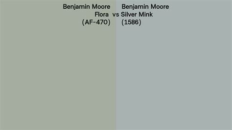 Benjamin Moore Flora Vs Silver Mink Side By Side Comparison