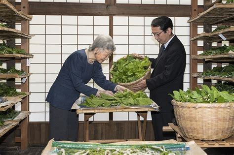 皇室：皇后さま、養蚕作業の「給桑」 毎日新聞