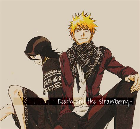 Ichigo And Rukia Kurosaki Ichigo Photo Fanpop