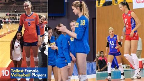 Towering Titans Meet The Top 10 Female Volleyball Players Who Leave