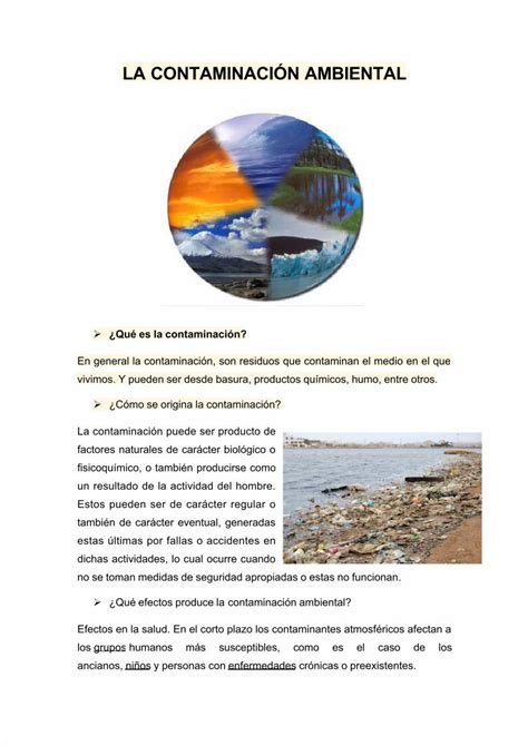 PDF La Contaminación Ambiental DOKUMEN TIPS