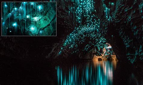 Images Show Glow Worms Illuminating A Pitch Black New Zealand Grotto