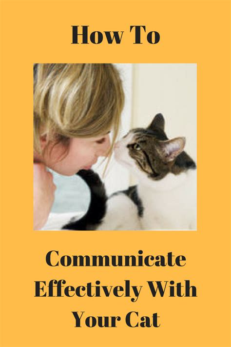 Communicating With Cats Effectively Fully Feline