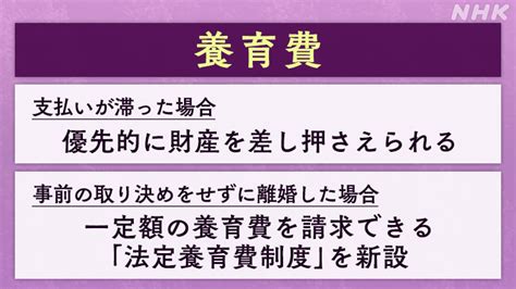 離婚後の親子のあり方は？ 共同親権導入へ Nhk政治マガジン