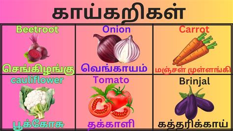 காய்கறிகள்vegetables Name Tamil And English Vegetables Name In Tamil