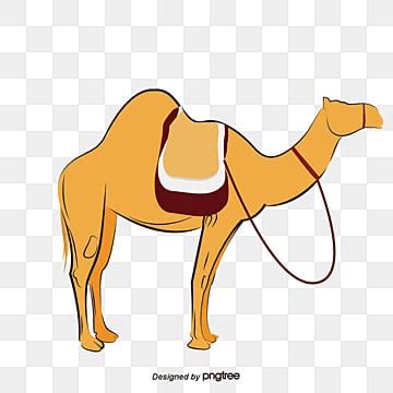 Camel Png Vector Psd And Clipart With Transparent Background For