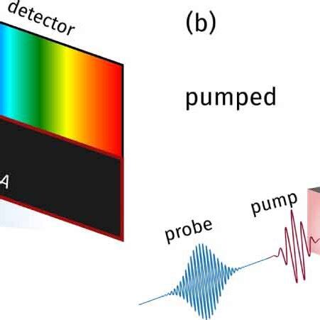 General Concept Of Spatial Encoding Of Pumpprobe Signals A Generic