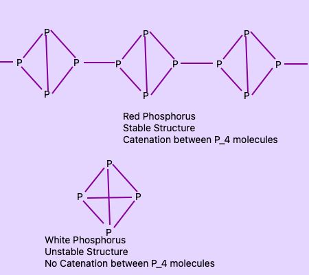 Out of white phosphorus and red phosphorus, which one is more reactive ...