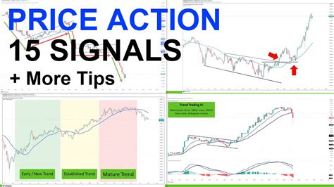 Signals For Price Action And Trend Trading Youtube