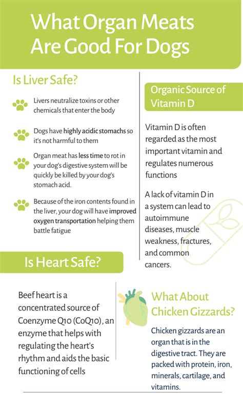 The Benefits Of Organ Meat For Dogs