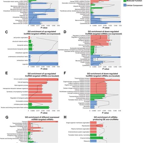 Expression Profiles Of Mrnas Lncrnas Mirnas And Pattern Diagram Of Download Scientific