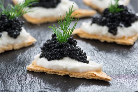 Delicious Caviar Stock Photo 03 Free Download