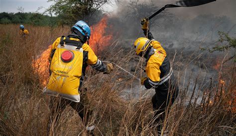 M S Ayuda Humana Para Combatir El Fuego Diario Hoy En La Noticia