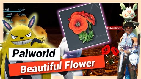 How To Get Beautiful Flower Best Locations In Palworld YouTube