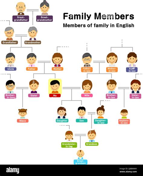 Árbol genealógico miembros de la familia ilustración vectorial