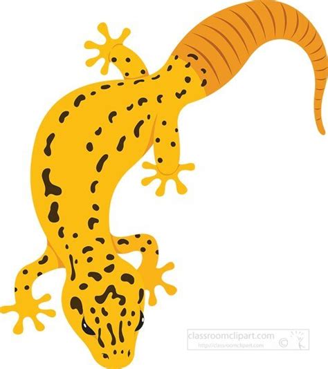 Gecko Lizard Clipart