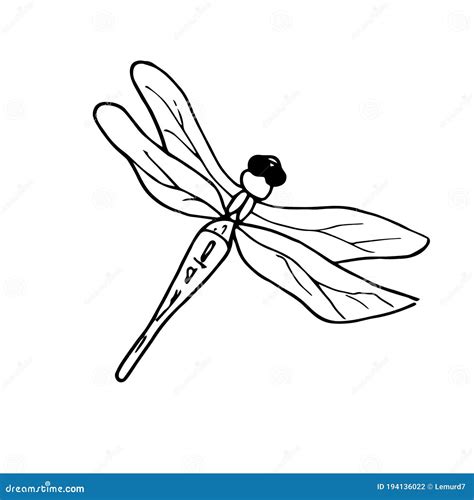 Lib Lula Ilustraci N Vectorial De Un Insecto Un Boceto De Estilo