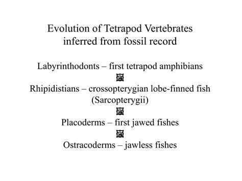 Ppt Evolution Of Tetrapod Vertebrates Inferred From Fossil Record Powerpoint Presentation Id