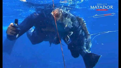 LASTRONE MALEFICO CERNIA Pesca Sub Spearfishing Arbalete Matador YouTube