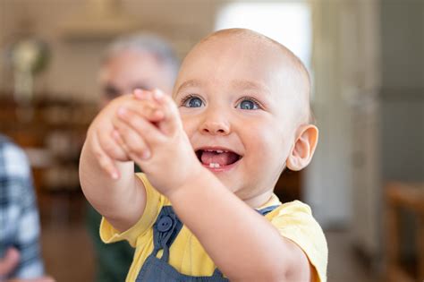 Primeiros Dentinhos Como Ajudar O Beb A Passar Por Essa Fase