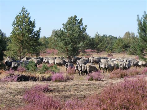 Naturpark Niederlausitzer Heidelandschaft Stiftung Naturschutzfonds