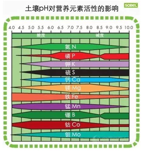 最全教科书式的土壤酸碱度解析快来看看