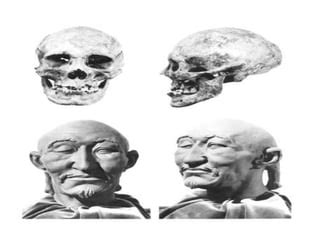 хүннү | PPT
