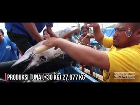 Part Pembongkaran Dan Produksi Ikan Tuna Cakalang Tongkol Pelelangan