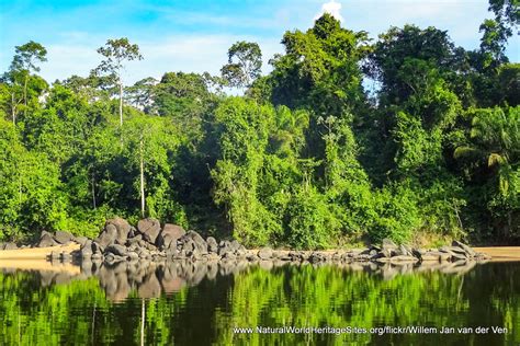 The Amazonian Beauty Of Central Suriname Nature Reserve - Suriname ...