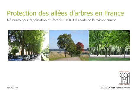 Protection Des All Es D Arbres En France M Mento Centre De