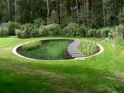 Best Trending Natural Swimming Pool With Natural Fresh Cleanwater