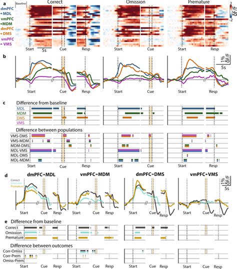 Activity Of Mpfc Projection Neurons Encodes Behavioral Trial Outcome A