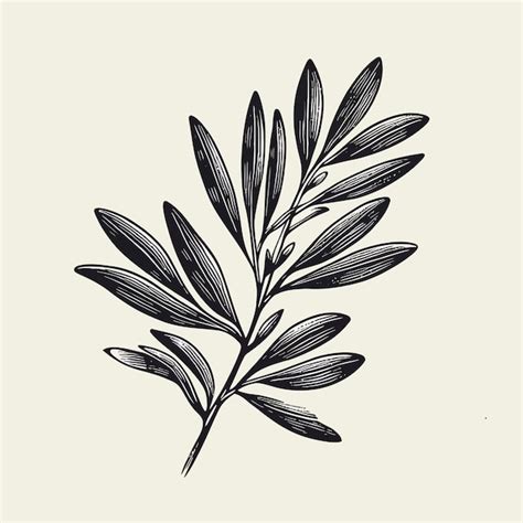 Premium Vector Hand Drawn Olive Branch Vector Solid