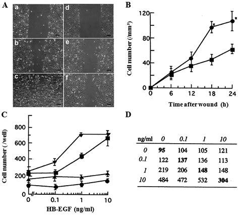 Heparin Binding Egf Like Growth Factor Enhances The Activity Of