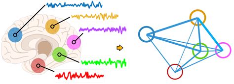 Tracking Functional Connectivity Beth Jelfs