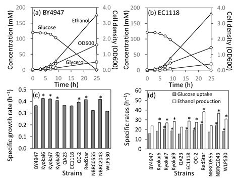 Ijms Free Full Text Improved 23 Butanediol Production Rate Of