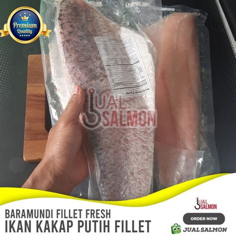 Jual Ikan Kakap Putih Fillet 1kg Baramundi Fillet Fresh Frozen 500