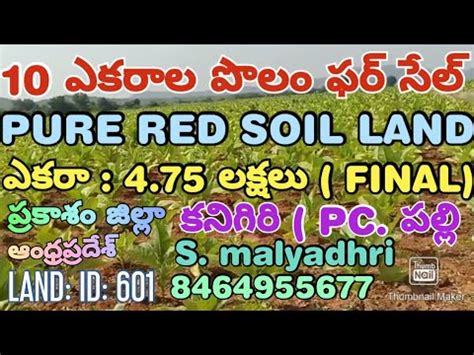 10 ACRES OF LAND FOR SALE PRAKASAM DT PC PALLI AP PH NO