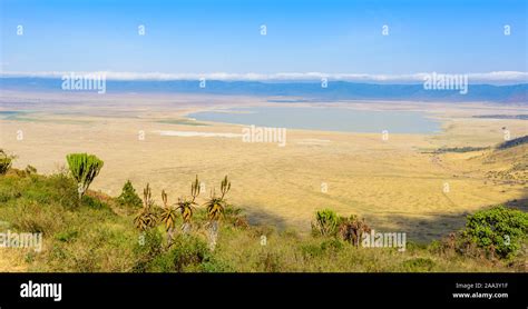 Panorama Der Ngorongoro Krater Nationalpark Mit Dem Lake Magadi Safari