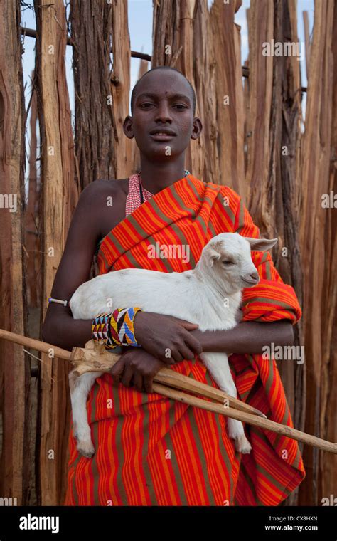 Masai Shepherd With A Lamb Near The Masai Mara Nature Reserve Kenya