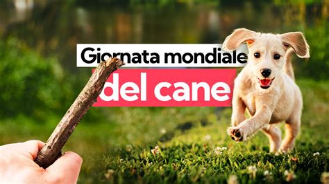 Giornata Mondiale Del Cane Adotta Un Cane Dal Canile E Non Abbandonarli