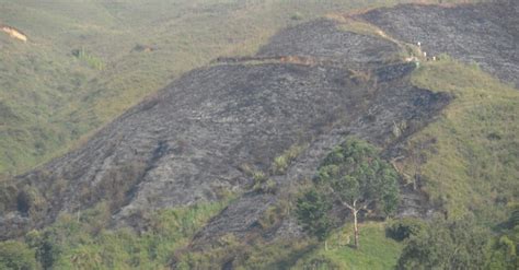 Controlado Incendio Forestal En El Cerro Las Tres Cruces