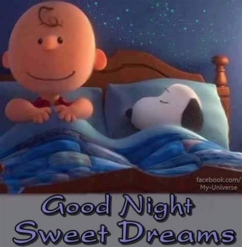 Charlie Snoopy Good Night Sweet Dreams Pictures Photos And Images